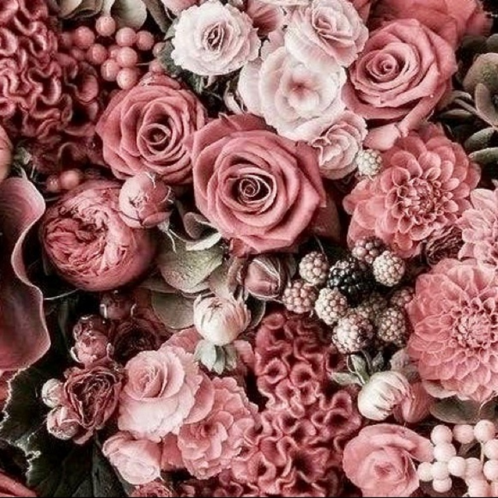 Meet your Posher, Diana